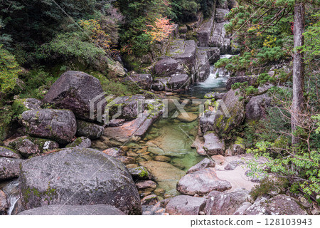 Yakushima Yakusugi Land - Arakawa Valley in Autumn Yakushima Yakusugi Land - Arakawa Valley in Autumn 128103943