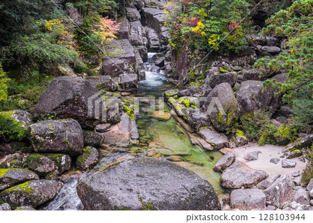 Yakushima National Park Yakusugi Land - Arakawa Valley in Autumn Yakushima National Park Yakusugi Land - Arakawa Valley in Autumn 128103944