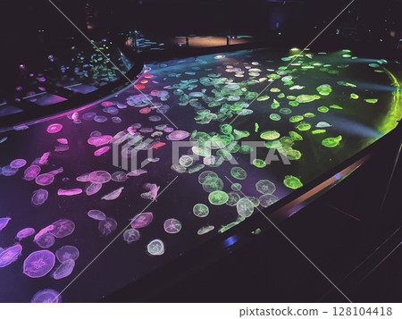 水母漂浮在水面上 128104418