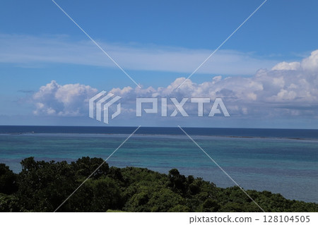 Takana's Emerald Green 128104505