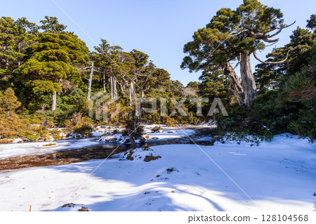 雲上天堂、世界自然遺產小花江川、屋久島(冬) 雲上天堂、世界自然遺產小花江川、屋久島(冬) 128104568