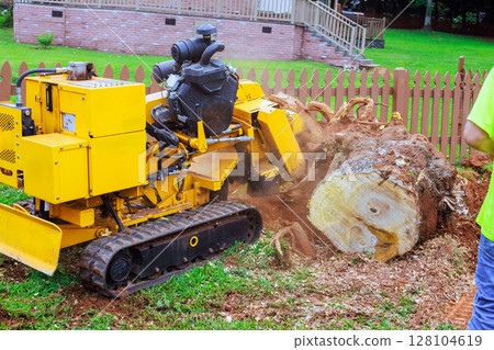 Powerful stump grinder works to eliminate large tree stump in backyard, scattering wood chips everywhere. 128104619