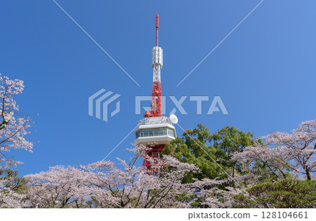 Utsunomiya Tower and Sakura in Hachimanyama Park (Utsunomiya City, Tochigi Prefecture, taken in April) Utsunomiya Tower and Sakura in Hachimanyama Park (Utsunomiya City, Tochigi Prefecture, taken in April) 128104661