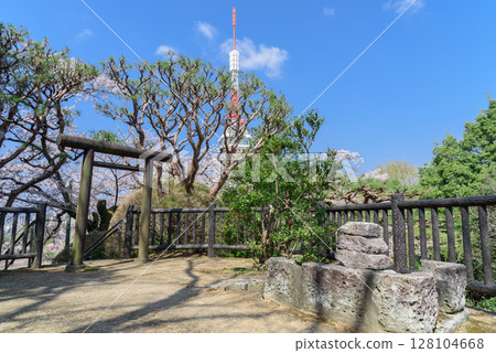 Utsunomiya Tower and Sakura in Hachimanyama Park (Utsunomiya City, Tochigi Prefecture, taken in April) Utsunomiya Tower and Sakura in Hachimanyama Park (Utsunomiya City, Tochigi Prefecture, taken in April) 128104668