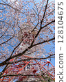 八幡山公園內的宇都宮塔和櫻花（栃木縣宇都宮市，4月拍攝） 128104675