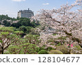 栃木縣廳和八幡山公園的櫻花（栃木縣宇都宮市，4月拍攝） 128104677
