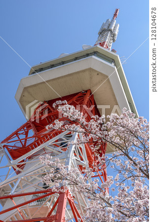 八幡山公園內的宇都宮塔和櫻花（栃木縣宇都宮市，4月拍攝） 128104678