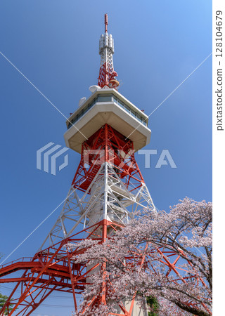 Utsunomiya Tower and Sakura in Hachimanyama Park (Utsunomiya City, Tochigi Prefecture, taken in April) Utsunomiya Tower and Sakura in Hachimanyama Park (Utsunomiya City, Tochigi Prefecture, taken in April) 128104679