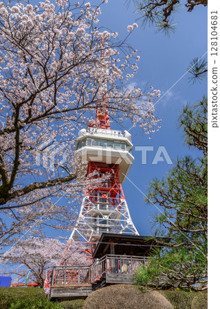 八幡山公園內的宇都宮塔和櫻花（栃木縣宇都宮市，4月拍攝） 128104681