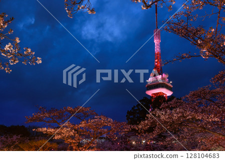 八幡山公園的夜櫻與宇都宮塔的燈光(栃木縣宇都宮市,2018年4月) 八幡山公園的夜櫻與宇都宮塔的燈光(栃木縣宇都宮市,2018年4月) 128104683