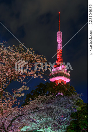 八幡山公園的夜櫻與宇都宮塔的燈光（栃木縣宇都宮市，2018年4月） 128104686