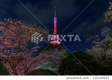 Illuminated Utsunomiya Tower and cherry blossoms at night in Hachimanyama Park (Utsunomiya, Tochigi Prefecture, April 2018) 128104687