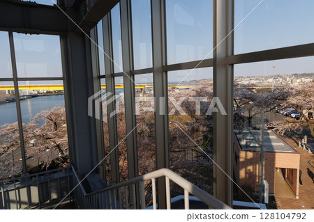 Hachinohe Bridge and cherry blossoms in full bloom (Hachinohe City, Aomori Prefecture) Hachinohe Bridge and cherry blossoms in full bloom (Hachinohe City, Aomori Prefecture) 128104792