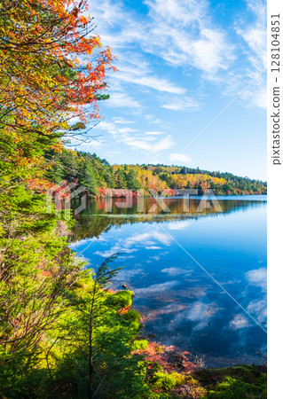 Shirakoma pond in autumn 128104851