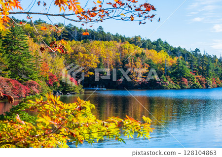 Shirakoma pond in autumn 128104863