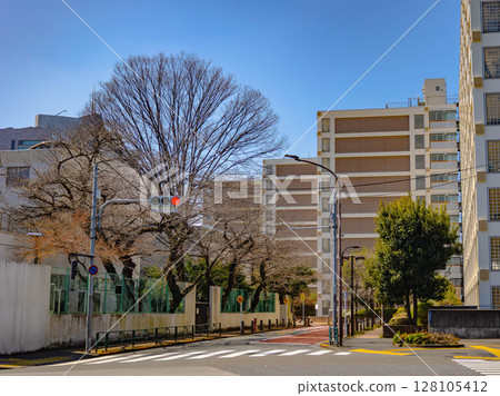 大城市形象(東京) 大城市形象(東京) 128105412