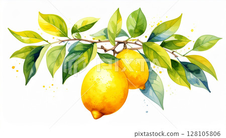 檸檬 128105806