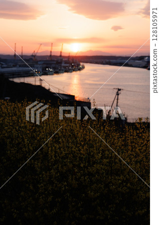 夕陽下的立鼻公園油菜花與真白川(青森縣八戶市) 夕陽下的立鼻公園油菜花與真白川(青森縣八戶市) 128105971