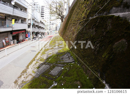 Moss Moss 128106615
