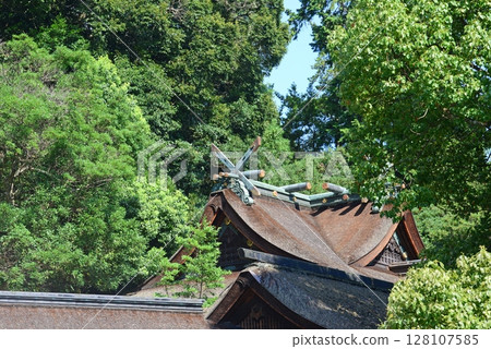 香川縣金刀比羅神社本殿的千木木魚木和柏樹皮屋頂-2 128107585