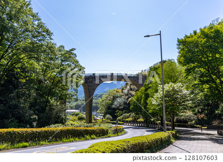 Nanasawa Forest Park: Arch bridge over a park of fresh greenery (Atsugi City, Kanagawa Prefecture) 128107603