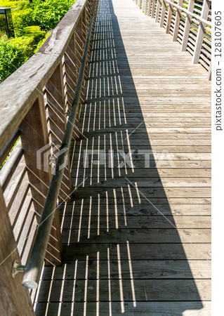 Plank walkway 128107605