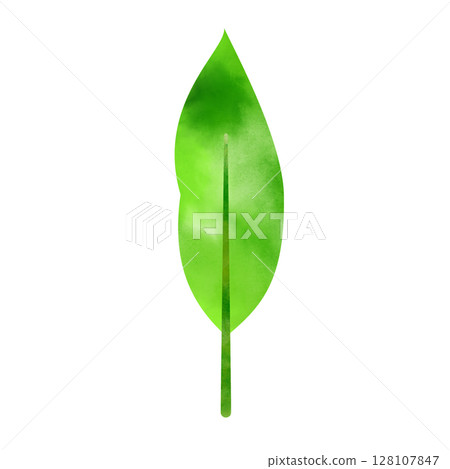 Simple leaf tree image illustration, hand-drawn watercolor style, png white background Simple leaf tree image illustration, hand-drawn watercolor style, png white background 128107847