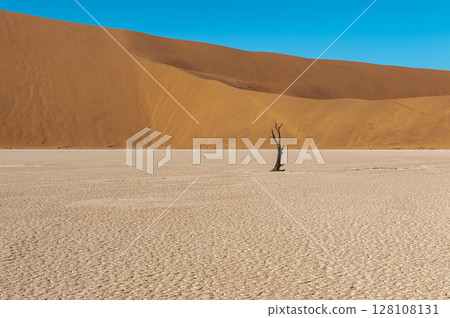 Barren landscape near Deadvlei and sossusvlei 128108131