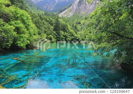 Shining emerald green Shining emerald green 128108647