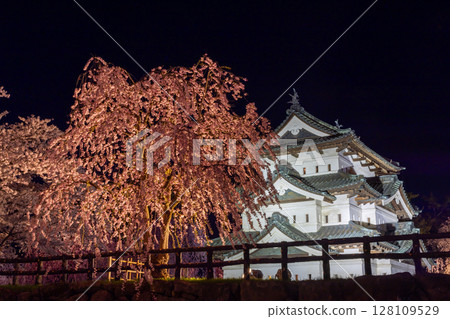 青森縣弘前市下白金町弘前公園 - 弘前城塔的夜景，周圍環繞著枝垂櫻等燈光璀璨的櫻花 128109529