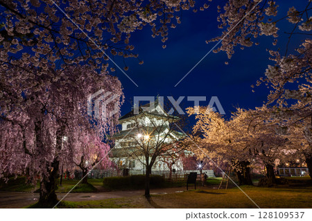 Hirosaki Park, Shimoshirogane-cho, Hirosaki City, Aomori Prefecture - Night view of Hirosaki Castle tower surrounded by illuminated cherry blossoms such as weeping cherry trees 128109537