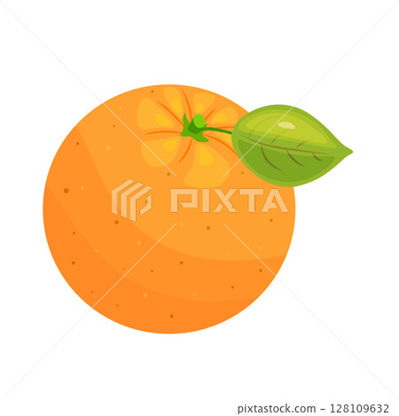 Fresh orange, hand drawn view of whole orange fruit with leaf. 128109632