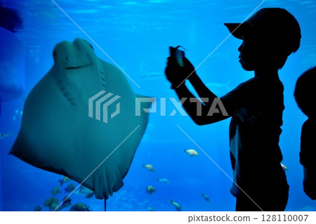 Child watching stingrays at the aquarium Child watching stingrays at the aquarium 128110007