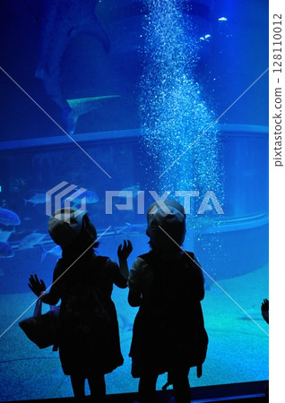 孩子看著水族箱 128110012