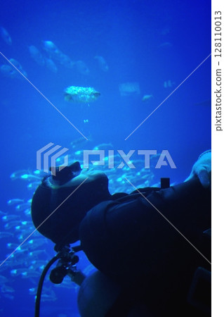 Divers swimming in an aquarium tank 128110013