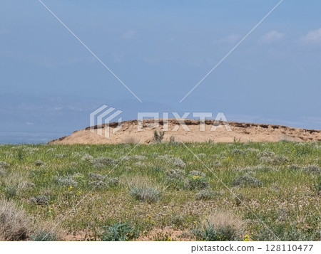 Amazing View Of Desert In The Background Amazing View Of Desert In The Background 128110477
