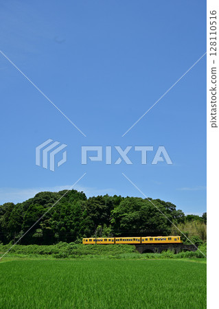 桑吉鐵道北勢線的列車沿著稻田行駛 128110516