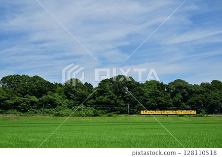桑吉鐵道北勢線的列車沿著稻田行駛 128110518