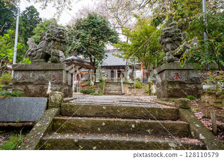 The approach to Sakuradayama Shrine and the lion statues after the rain in Kurihara City, Miyagi Prefecture 128110579