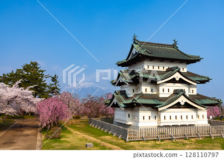 Hirosaki Park, Shimoshirogane-cho, Hirosaki City, Aomori Prefecture: View of Hirosaki Castle tower surrounded by weeping cherry blossoms and Mt. Iwaki covered in snow Hirosaki Park, Shimoshirogane-cho, Hirosaki City, Aomori Prefecture: View of Hirosaki Castle tower surrounded by weeping cherry blossoms and Mt. Iwaki covered in snow 128110797