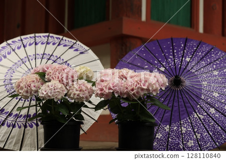 繡球花和寺廟 繡球花和寺廟 128110840