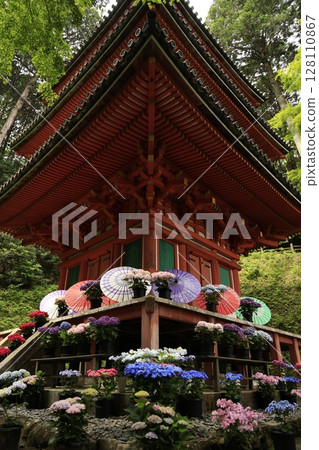 繡球花和寺廟 128110867