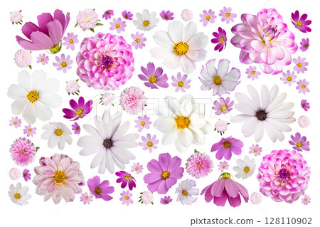 Colorful summer autumn background of flowers pink and white cosmos, dahlias, osteospermum and orange marigolds isolated on white background with clipping path. Floral Greeting card. 128110902