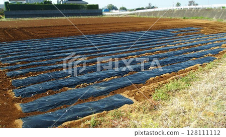 帶有黑色床單的春季菜田景觀 128111112