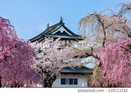 Hirosaki Park, Shimoshirogane-cho, Hirosaki City, Aomori Prefecture: A view of Hirosaki Castle tower under the blue sky surrounded by weeping cherry trees and Yoshino cherry trees 128111282