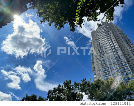 東京都政府大樓、新宿摩天大樓、藍天、白雲和綠地、白天 東京都政府大樓、新宿摩天大樓、藍天、白雲和綠地、白天 128111911