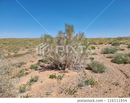 Desert Landscape, Nature And Environment 128111934