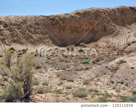 Beautiful Mountain With Tree In Desert Beautiful Mountain With Tree In Desert 128111939