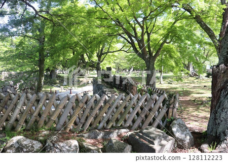 Hikone Castle, Hikone City, Shiga Prefecture 128112223
