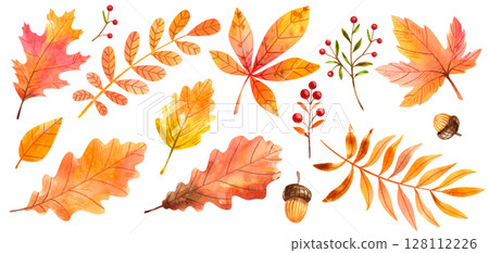 Watercolor autumn leaves isolated on white background. Hand drawn illustration for your design, print, textile Watercolor autumn leaves isolated on white background. Hand drawn illustration for your design, print, textile 128112226